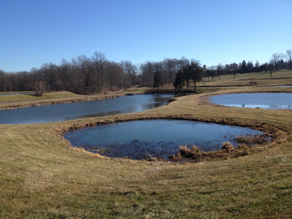 How to build a pond for fish