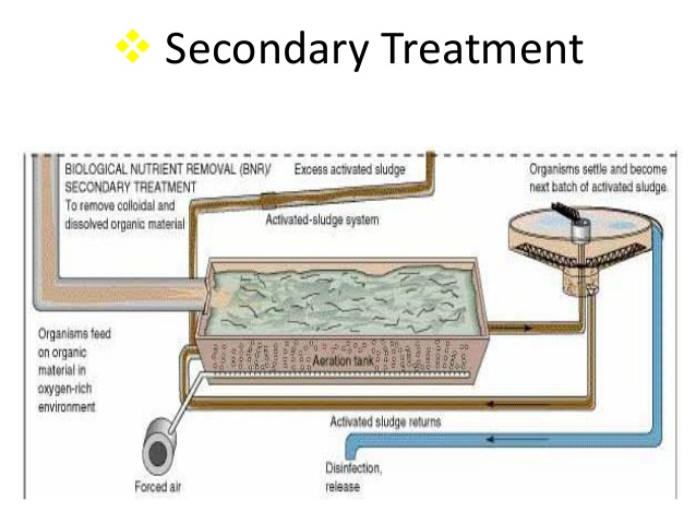 Secondary Sewage Treatment