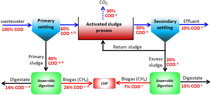 Domestic Wastewater Treatment Process