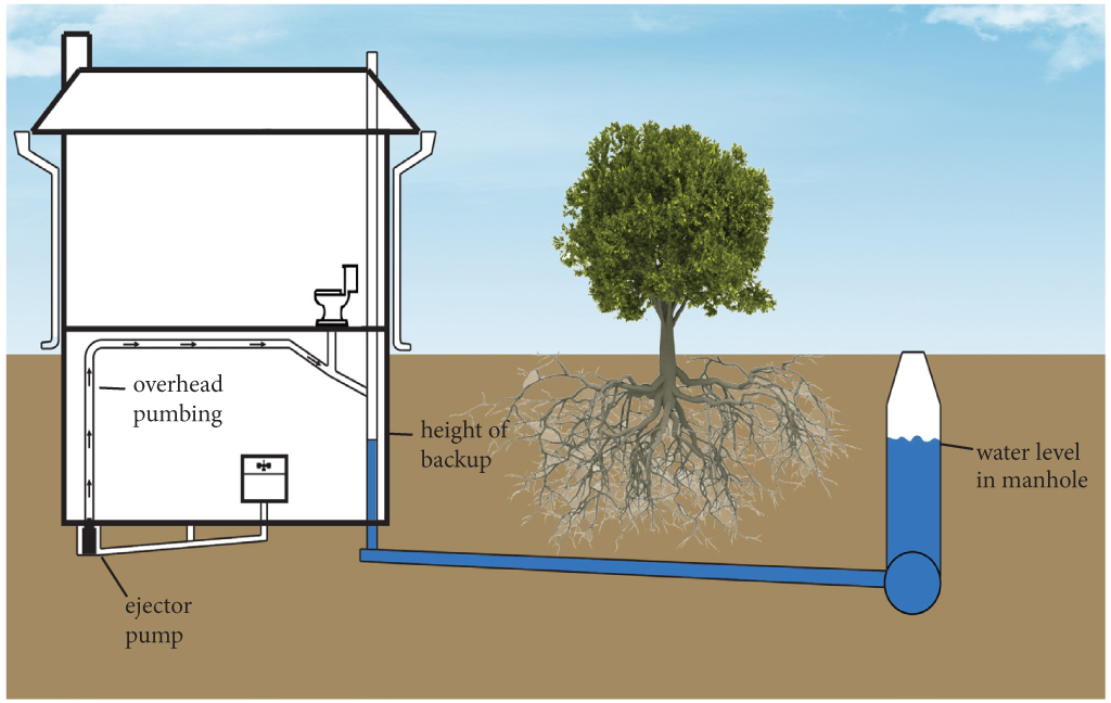 Domestic sewage or sanitary sewage